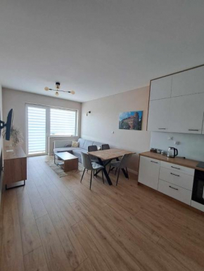 Apartament Długa Uniejów